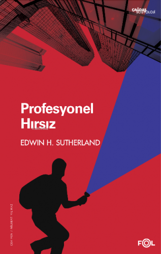 Profesyonel Hırsız